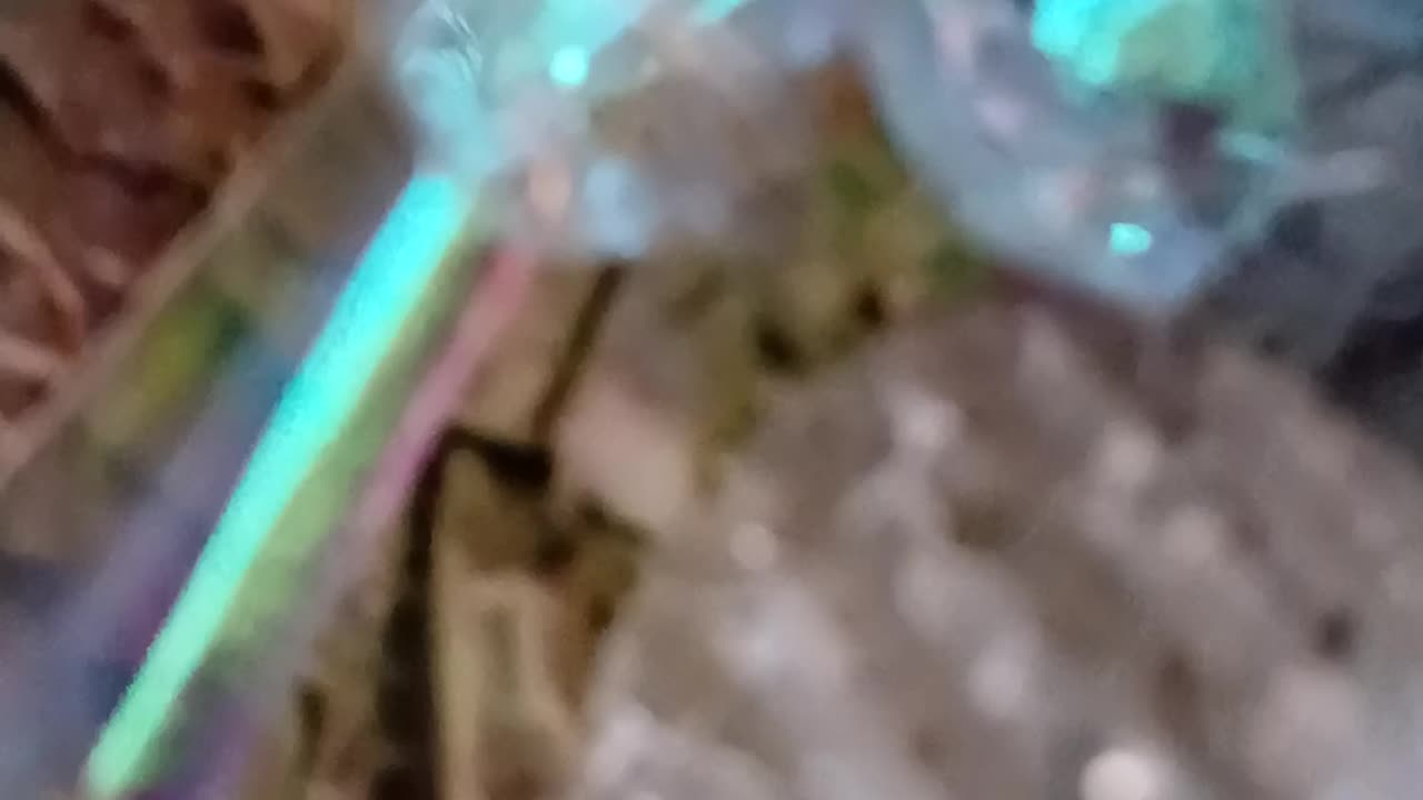 Think I'm tripping on colour