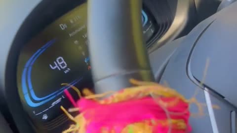 Car video