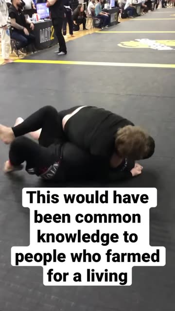 The apple doesn’t fall far from the tree does not mean what you think it does