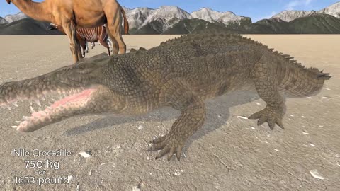 African Animal Weight Comparison | 3D Animation | Real Scale Comparison