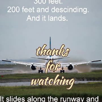 The last fly of Flight 110