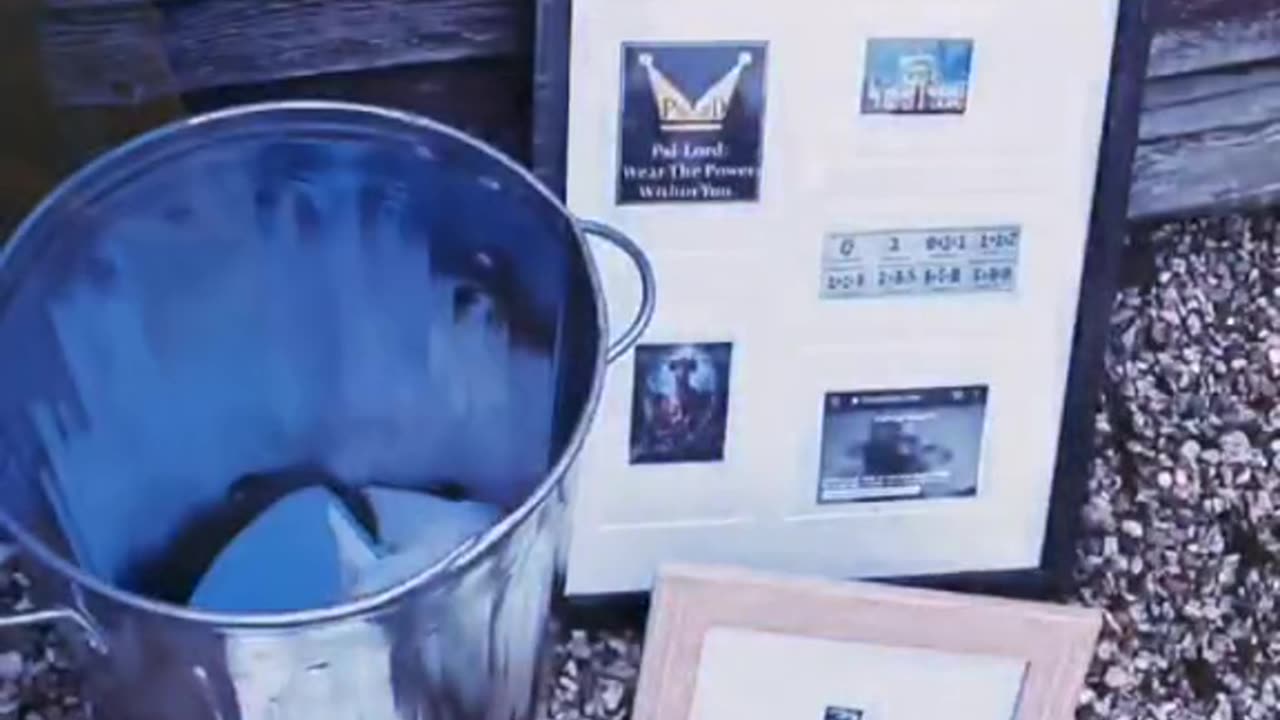 Tim Rifat TikTok Videos