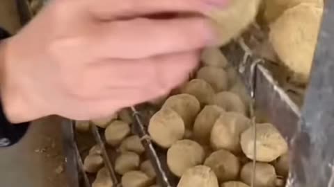 😮💥 This Viral Machine Will Blow Your Mind! | FeedMyCuriosity