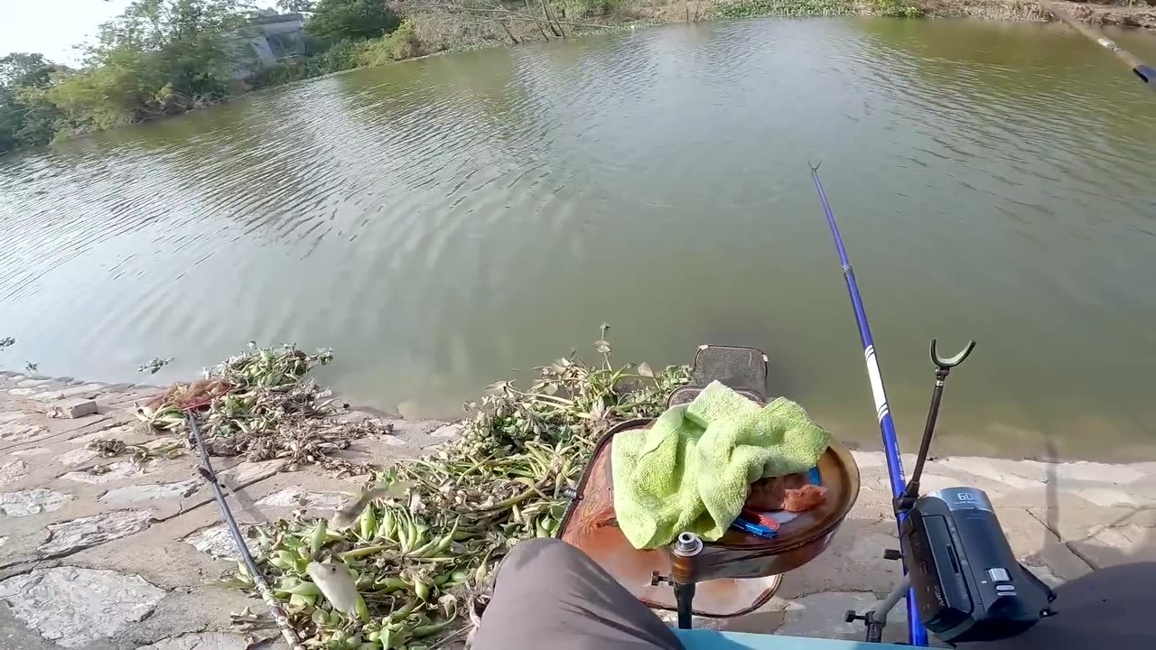 Pike Waits in the Silent Ambush