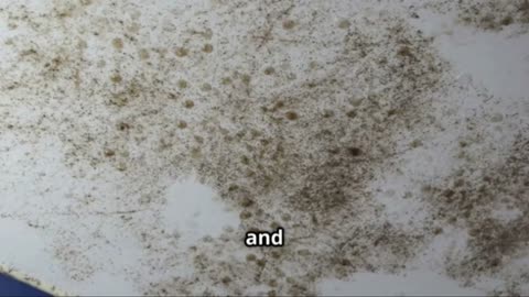 Drying Techniques for Water Damage