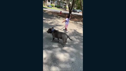 Meet Blue and his family