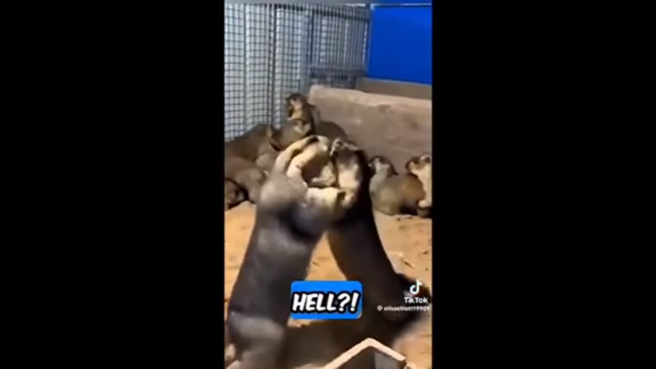 Need a laugh here and there ;)