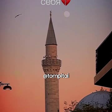 Когда мы кричим на детей... ⁨@tompitai⁩