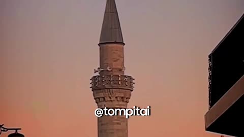 Когда мы кричим на детей... ⁨@tompitai⁩