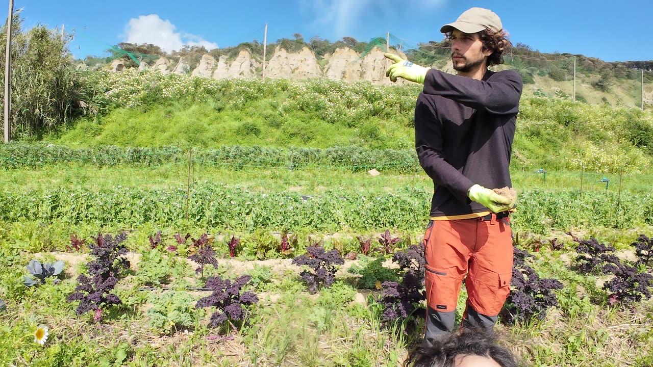 Actividades na Horta Experimental, Margem Sul Agrofloresta 15th of April 2k25 Part 8
