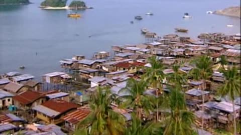 Survivor e1.s1