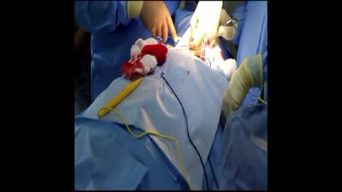 NEW Medical Drama! Surgery! Surgeon! Hypnosis! Betrayal! on Rumble