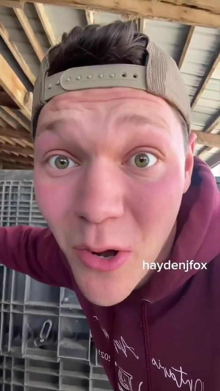 The Truth About How Seed Companies Enslave Farmers and Make Food More Expensive