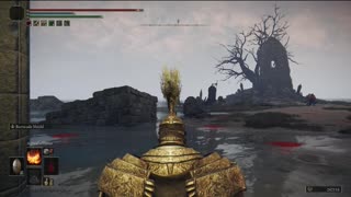 Elden Ring NG+1 | Leonine Misbegotten boss fight solo #eldenring #eldenringbossguide #shorts