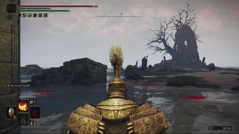 Elden Ring NG+1 | Leonine Misbegotten boss fight solo #eldenring #eldenringbossguide #shorts