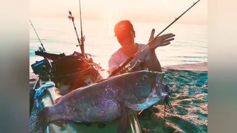 Una cernia bianca da sogno- big grouper hobie Outback kayak fishing_part2