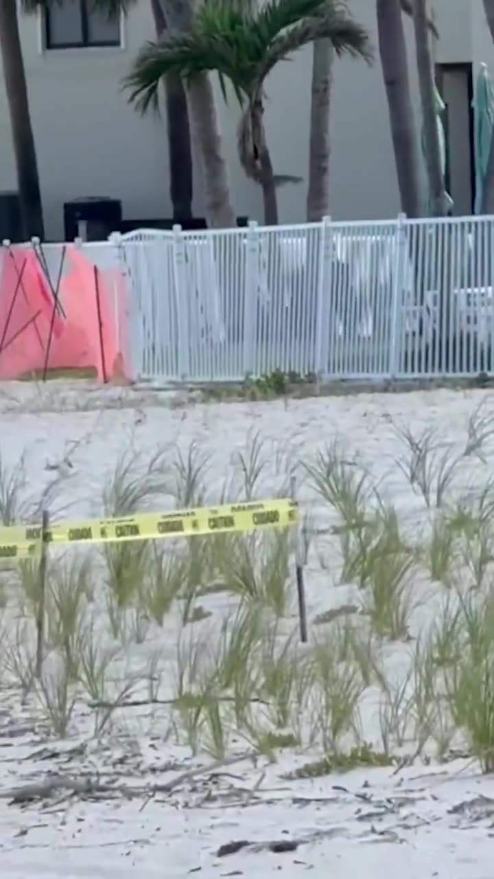 Beachgoers were shocked to see a black bear swimming in the water in Naples, Florida