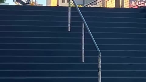 🤯🛹 The Craziest Sugarcane Down Hollywood High! | SkateNation