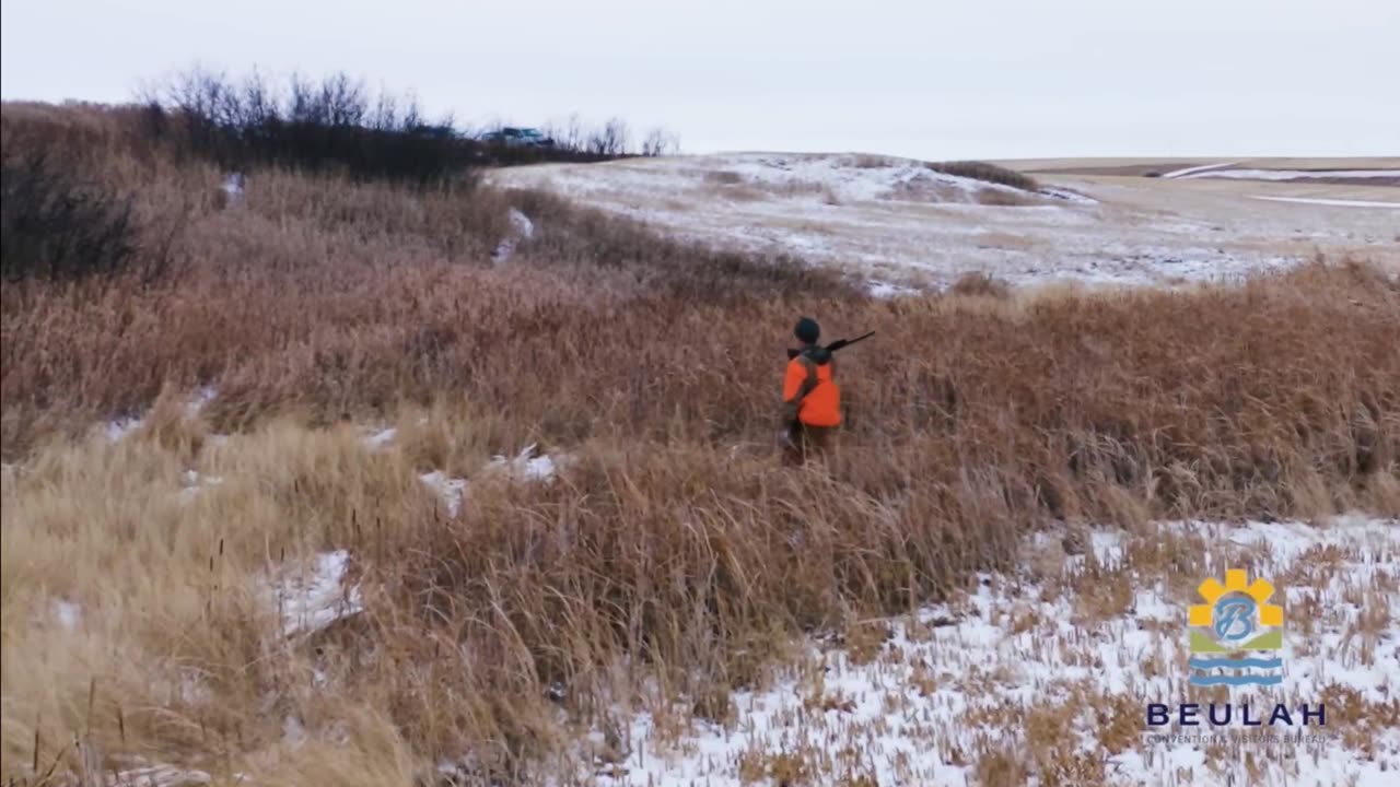 Trent Loos in the Morning 7/29/2025