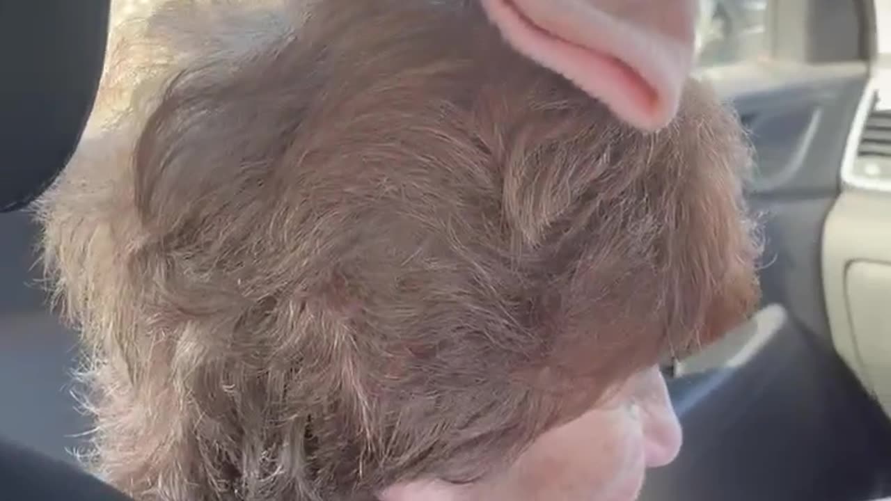 Sneakily Placing Items On Grandmother's Head