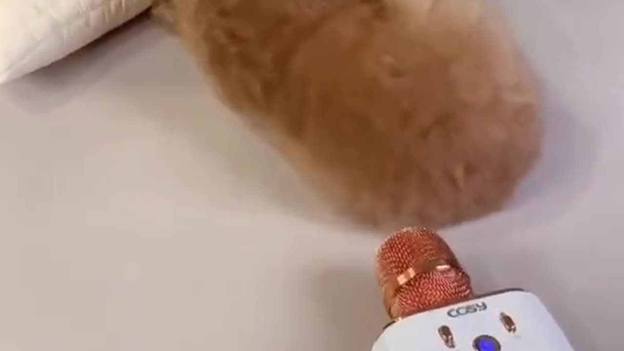 scared of my own fart