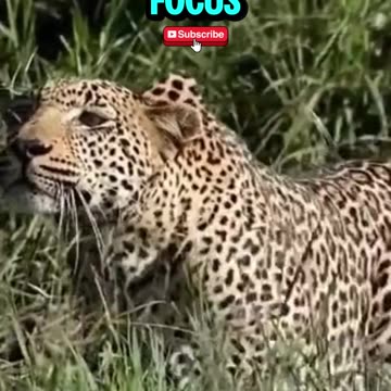 Most common ways people made their first million 👀💵💵