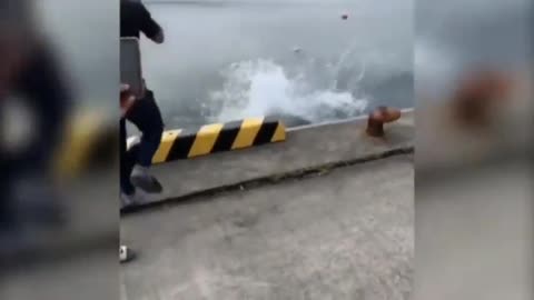 🐠🎣 Expect the Unexpected! Fish, Here I Come! | FunFM