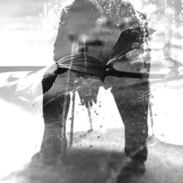 Song and music: "Hamim", arrangement: Yasin Turki