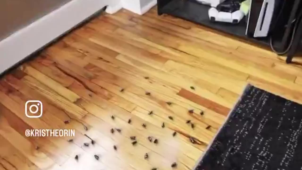 SWAT Fly Turret