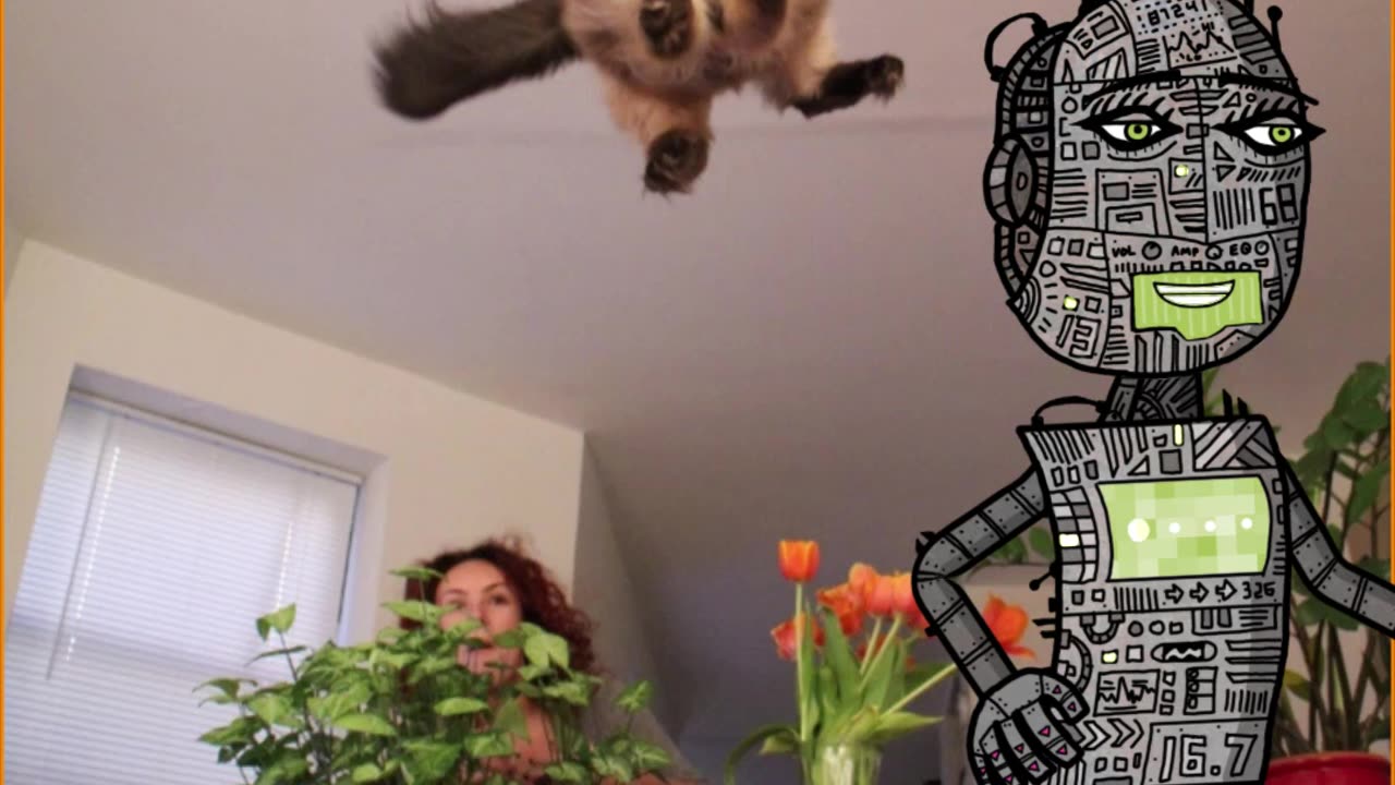 o gato com medo