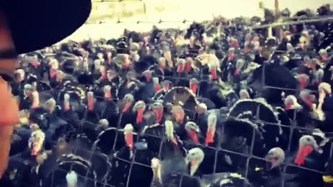 😂 Gobble Gobble Gobble - The Ultimate Goofy Turkey! | FunFM
