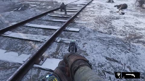What kind of creatures are those?