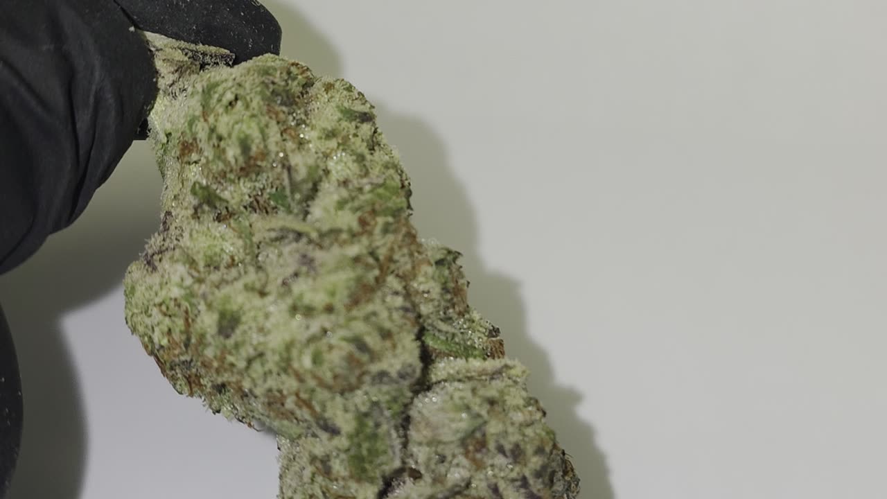 Oaksterdam THC Flower
