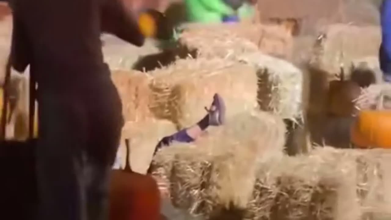 🤩 This Kid's Skills Are Unbelievable! Watch Now | FunFM