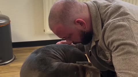 Animals Chiropractic...waoooo
