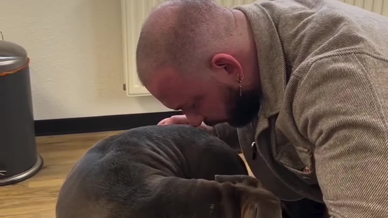 Animals Chiropractic...waoooo