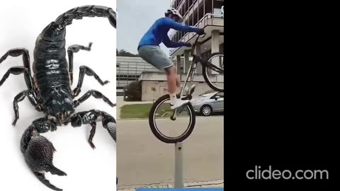 15 amazing tricks by humans worth watching....