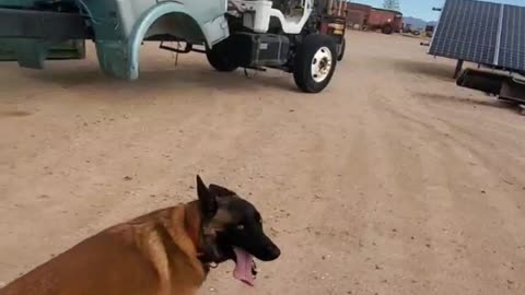 092125 RANCH EXPERIMENTS 68 Chevy cab on LAGER frame PART 1 #diyprojects