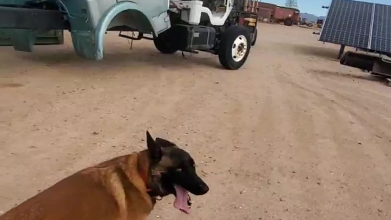 092125 RANCH EXPERIMENTS 68 Chevy cab on LAGER frame PART 1 #diyprojects