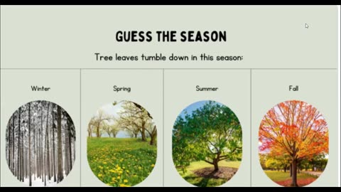 The seasons