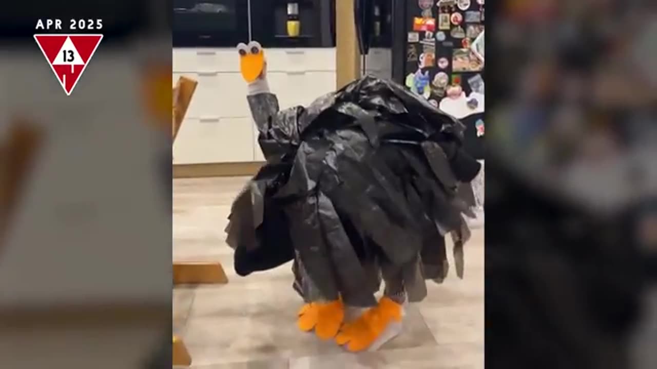 Best Win Completion 2025