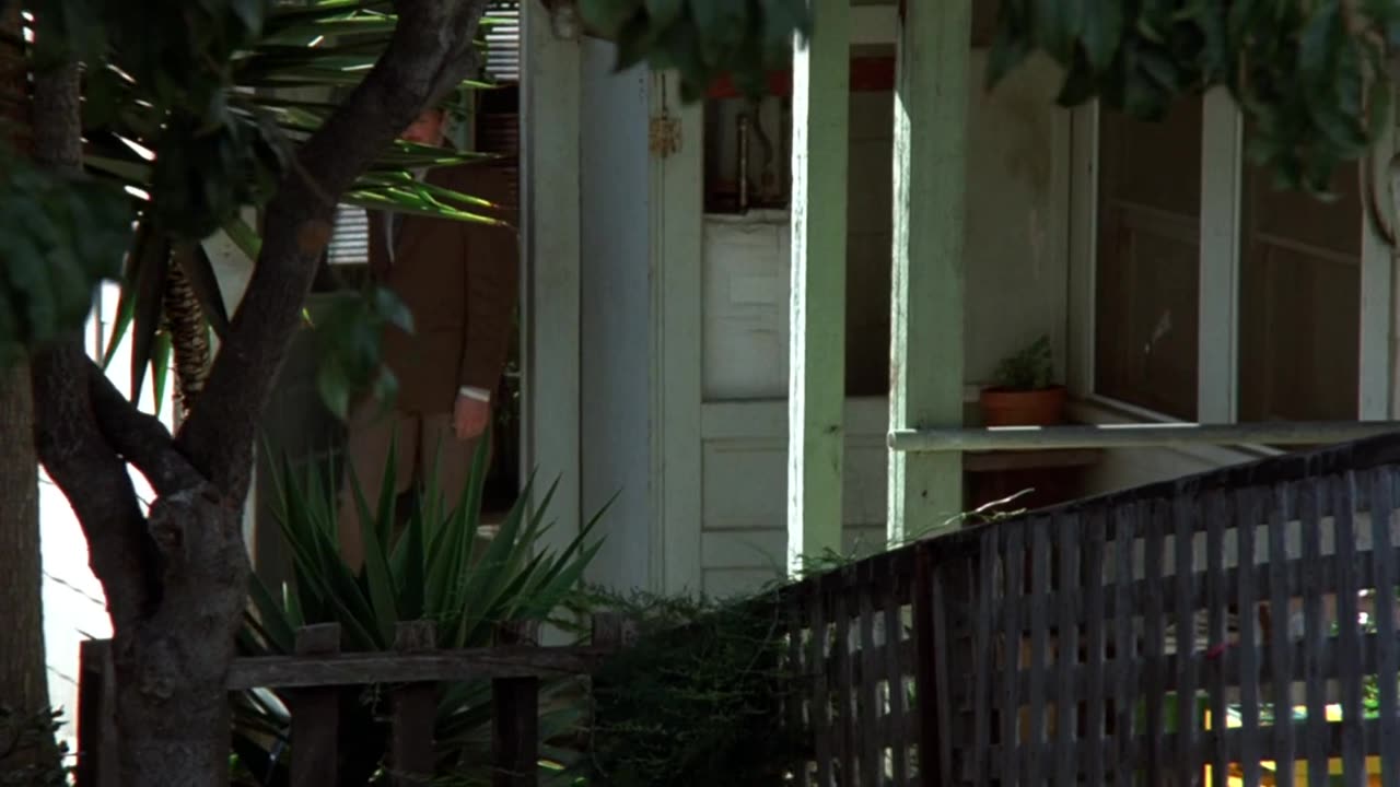 murphy's law Charles Bronson movie