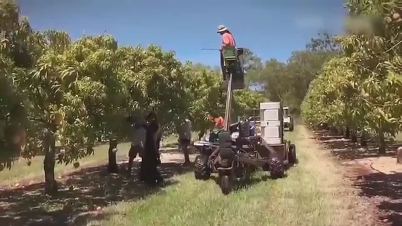 technology that will make it easier for farmers to harvest millions of tons of fruit and vegetables