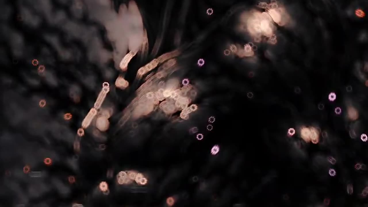 25 Chapters. One War. Agent Quacks Has Arrived.