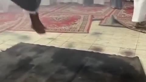 😂 The Saudi Taasheer Dance is Hilarious! | FunFM