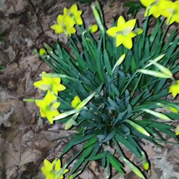 Bye Winter ❄️. Welcome Spring 🌷.