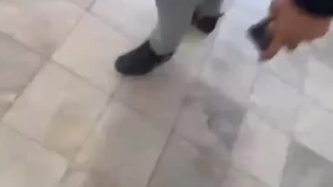 Twenty black guys beat up one white guy. This is what real racism looks like.