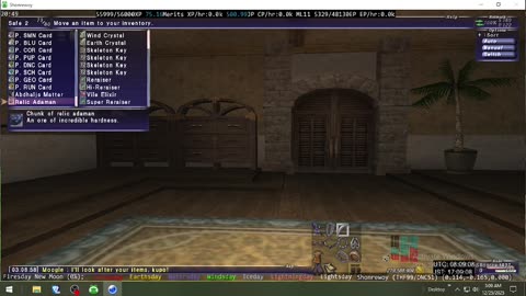 Playing Final Fantasy XI Online