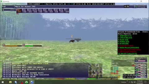 Playing Final Fantasy XI Online