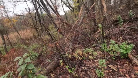 Daily life in the combat zone